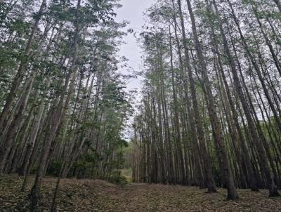 Fazenda para Venda, em Lavrinhas, bairro .