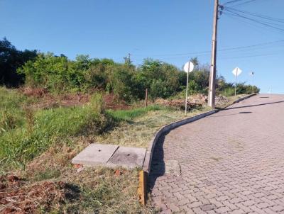 Terreno para Venda, em S�o Jos� do Sul, bairro CENTRO