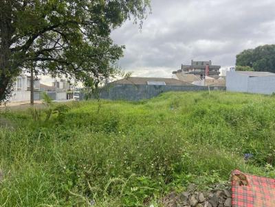 Terreno para Venda, em Guarapuava, bairro Trianon