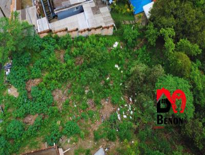 Lote para Venda, em Brumadinho, bairro S�o Conrado