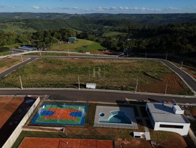 Terreno para Venda, em Guarapuava, bairro Morro Alto