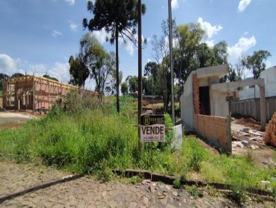 Terreno para Venda, em Guarapuava, bairro Boqueir�o