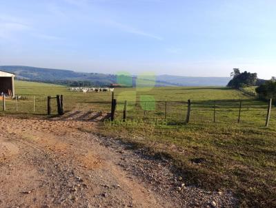 S�tio / Ch�cara para Venda, em Anhembi, bairro Zona Rural