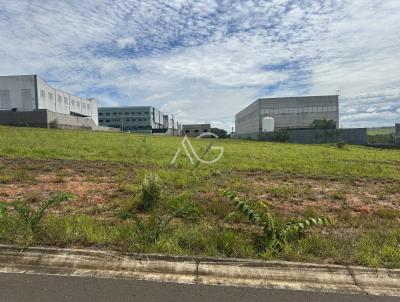 Terreno Industrial para Venda, em Indaiatuba, bairro Park Comercial de Indaiatuba