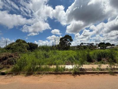 Terreno para Venda, em Guarapuava, bairro Industrial