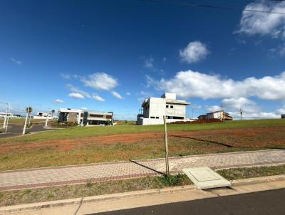 Terreno para Venda, em Guarapuava, bairro Morro Alto