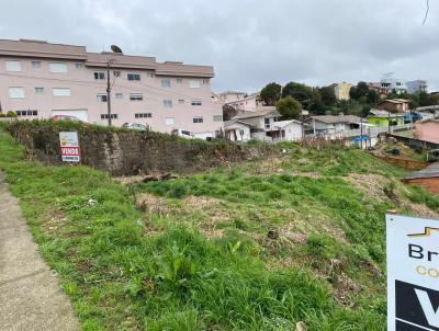 Terreno para Venda, em Curitibanos, bairro Centro, 1 banheiro