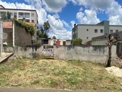 Terreno para Venda, em Guarapuava, bairro Santa Cruz
