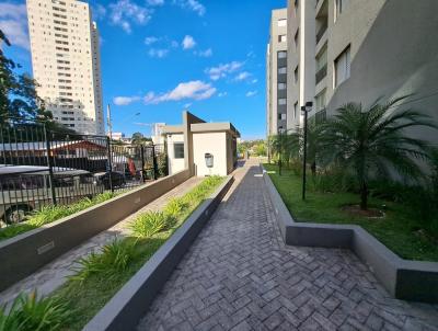 imagem-miniatura