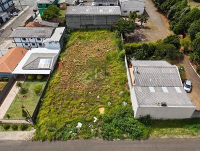 Terreno para Venda, em Guarapuava, bairro Morro Alto