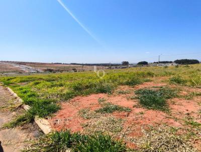 Terreno para Venda, em Mar�lia, bairro Antenor Barion (Parque das Flores)