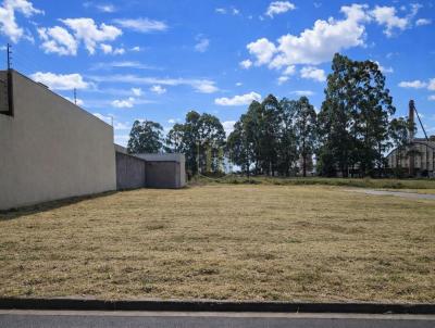 Terreno para Venda, em Guarapuava, bairro Boqueir�o