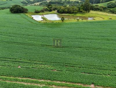 Ch�cara para Venda, em , bairro Rural