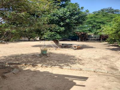 Ch�cara para Venda, em Indaiatuba, bairro Parque Campo Bonito, 3 dormit�rios, 3 banheiros