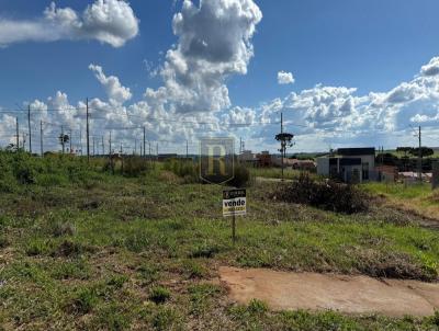 Terreno para Venda, em , bairro Bairru das Cerejeiras