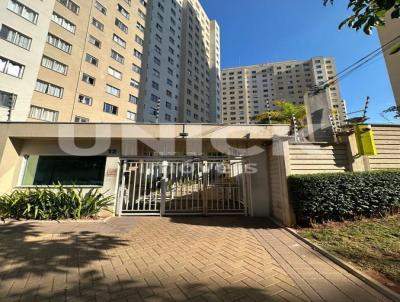 Apartamento para Loca��o, em S�o Paulo, bairro Vila Andrade, 2 dormit�rios, 1 banheiro