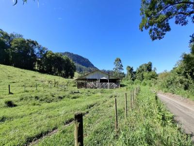 S�tio para Venda, em Agrol�ndia, bairro Serra dos Alves