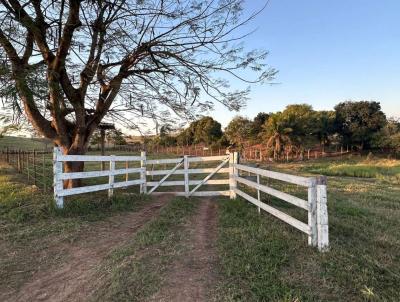 S�tio / Ch�cara para Venda, em Taciba, bairro 