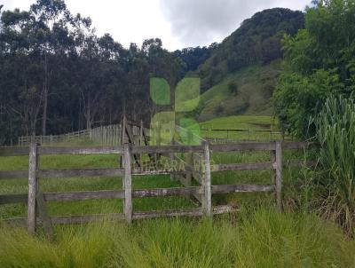 S�tio / Ch�cara para Venda, em Santa Maria da Serra, bairro Zona Rural