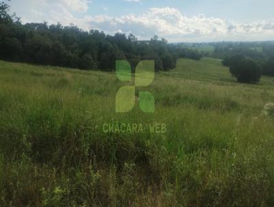 S�tio / Ch�cara para Venda, em Avar�, bairro Zona Rural