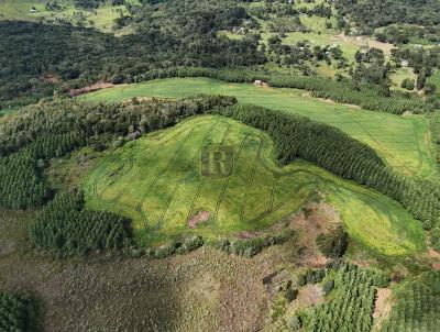 Fazenda para Venda, em Guarapuava, bairro Rural