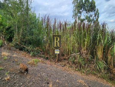 Terreno para Venda, em Guarapuava, bairro Boqueir�o