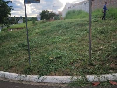Terreno para Venda, em Mat�o, bairro Parque Imperial