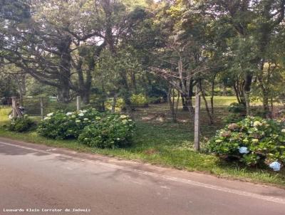 S�tio / Ch�cara para Venda, em Morro Reuter, bairro Mato Comprido