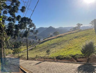 Terreno para Venda, em Gon�alves, bairro Centro