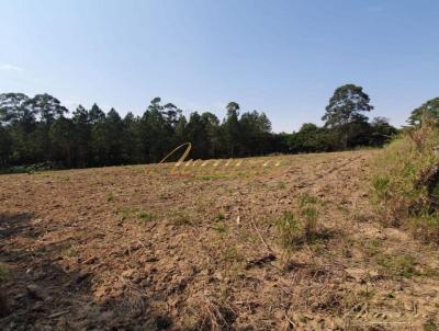 �rea Comercial para Venda, em Sorocaba, bairro Novo Horizonte