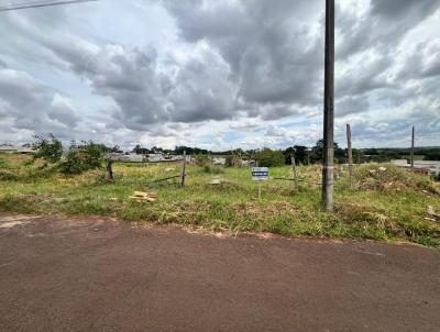 Terreno para Venda, em Goioer�, bairro Jardim Cristo Rey