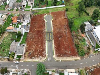 Terreno para Venda, em Guarapuava, bairro Alto da XV