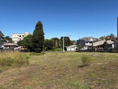 Terreno para Venda, em Guarapuava, bairro Santa Cruz