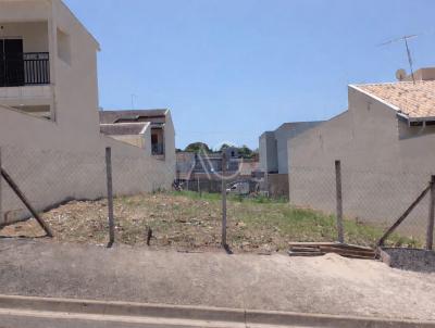 imagem-miniatura