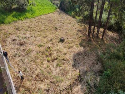 Terreno para Venda, em S�o Roque, bairro Jardim Villa�a, 1 dormit�rio