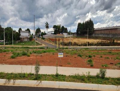 Terreno para Venda, em Guarapuava, bairro 