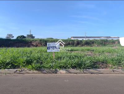 imagem-miniatura