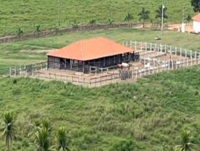 Casa Rural para Venda, em Joa�ma, bairro 