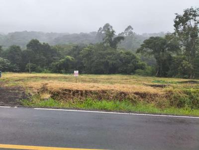 Terreno para Venda, em Brochier, bairro interior