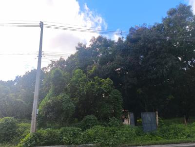 Ch�cara para Venda, em Teresina, bairro Zona rural, 3 dormit�rios, 2 banheiros, 1 su�te, 4 vagas