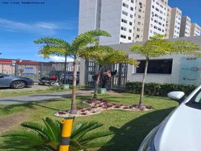 imagem-miniatura