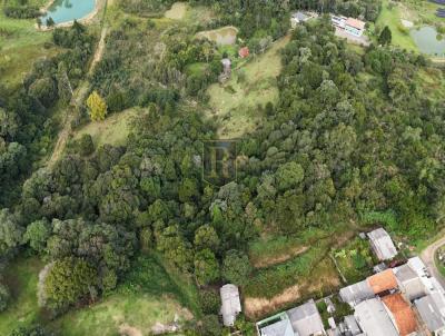 Ch�cara para Venda, em Guarapuava, bairro Rural