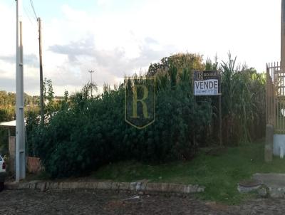 Terreno para Venda, em Reserva do Igua�u, bairro Centro