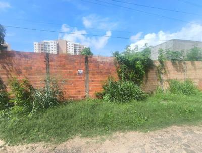 Lote para Venda, em Teresina, bairro Santa Isabel