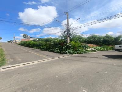 Terreno para Venda, em Teresina, bairro Santa Isabel
