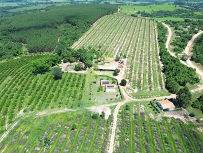 Fazenda para Venda, em Anhembi, bairro 