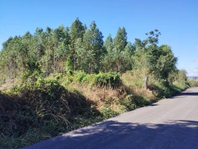 �rea Rural para Venda, em Montenegro, bairro interior