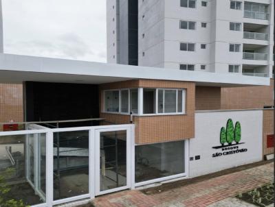 imagem-miniatura