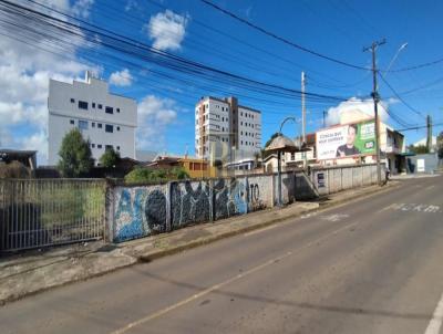 Terreno para Venda, em Guarapuava, bairro Santana