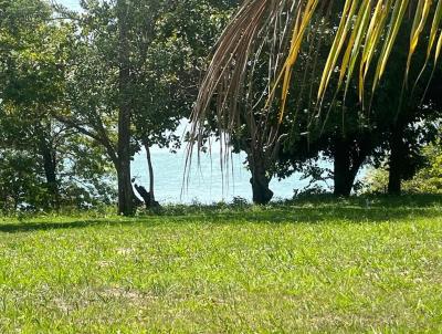 Terreno para Venda, em Tibau do Sul, bairro LAGOA DE GUARAIRA